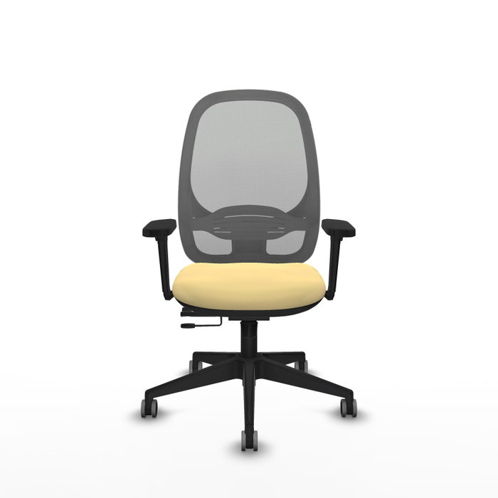PIQUERAS Y CRESPO Silla de oficina Cilanco con mecanismo Sincro/Traslack, Crema y Gris PIQUERAS Y CRESPO Silla de oficina Cilanco con mecanismo Sincro/Traslack, Crema y Gris