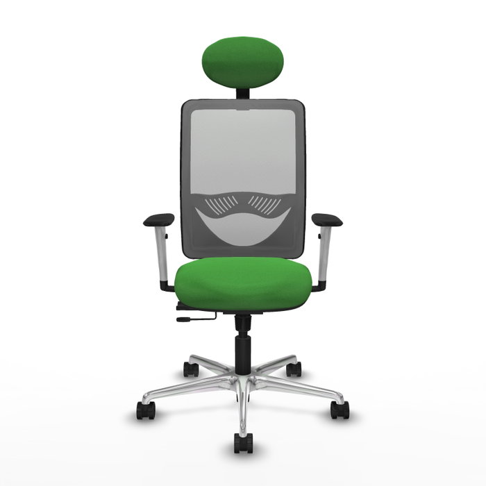 PIQUERAS Y CRESPO Silla de oficina Zulema Verde con mecanismo Sincro/Traslack PIQUERAS Y CRESPO Silla de oficina Zulema Verde con mecanismo Sincro/Traslack