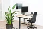 Neomounts NS-PLXPROTECT1 Mampara Protectora de Acrílico para Monitor hasta 32" con Montaje VESA 100x100 mm, Ancho 120 cm, Transparente, 1 Pieza