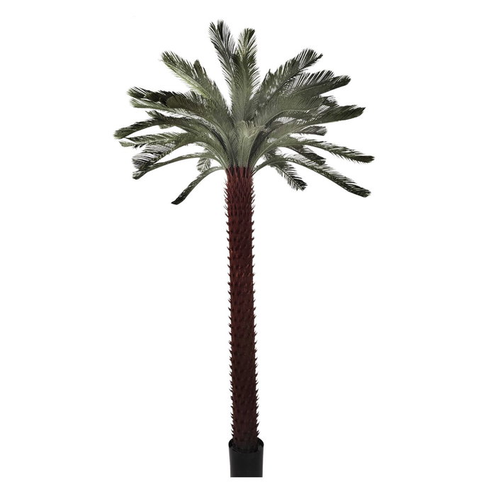 DKD Home Decor Palmera Verde de PE 180x180x300 cm