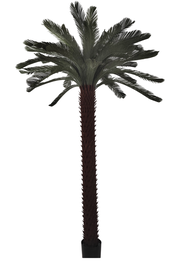 DKD Home Decor Palmera Verde de PE 180x180x300 cm