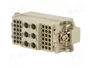 HARTING Han K 6/36 Pos. M Insert Crimp - Plantilla de contacto macho