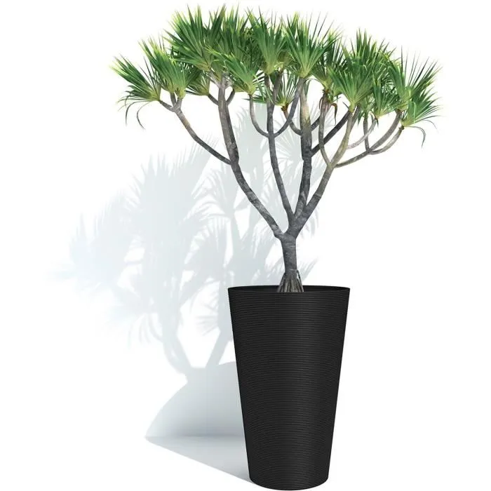 Garden ID Maceta alta para flores 02041569, Green Care Sense Tall Black-Anthr., 55 cm, 100% reciclado, resistencia UV y gel