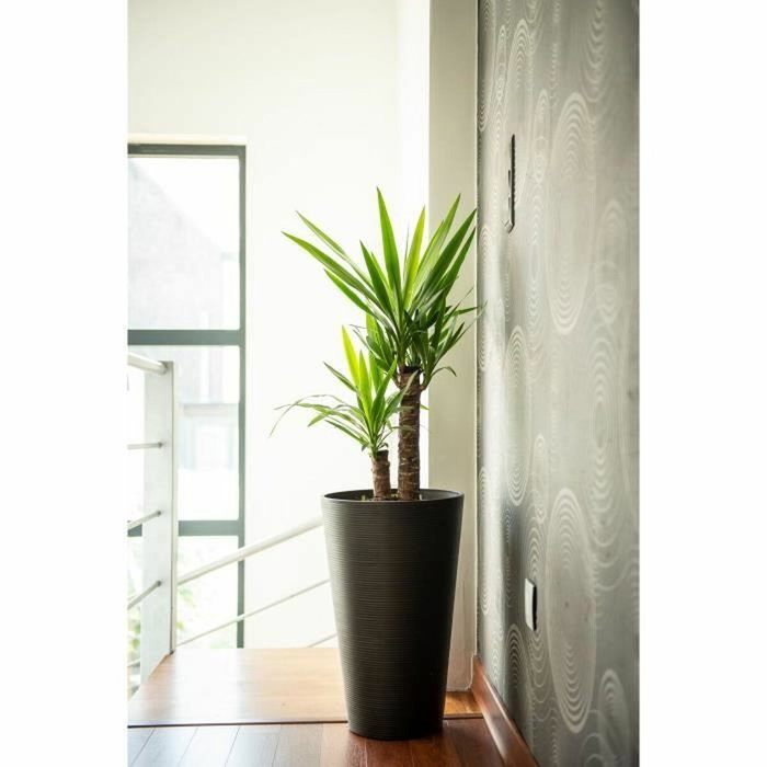 Garden Id Maceta alta Green Care Sense Tall Negro Antracita 55 cm