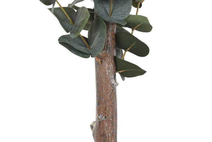 DKD Home Decor Árbol de Eucalipto Verde 50 x 155 x 50 cm Pack de 2 DKD Home Decor Árbol de Eucalipto Verde 50 x 155 x 50 cm Pack de 2