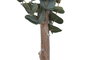 DKD Home Decor Árbol de Eucalipto Verde 50 x 155 x 50 cm Pack de 2