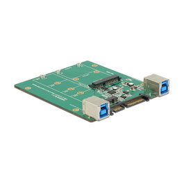 DeLOCK 62732 Convertidor SATA / USB 3.1 a M.2 y mSATA
