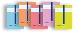 ERIGGAN Pack de 10 libretas grapadas A4, 50 hojas, 70g, cuadrovía 3mm
