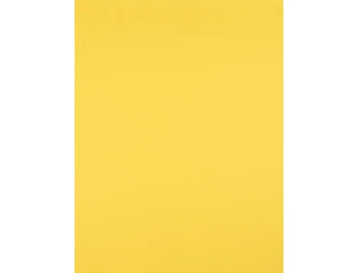 Liderpapel Cartulina Amarillo limón 50x65 cm 240g/m2