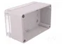 ELEKTRO-PLAST NASIELSK Carcasa Industrial Universal Gris IP65