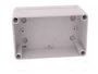ELEKTRO-PLAST NASIELSK Carcasa Industrial Universal Gris IP65