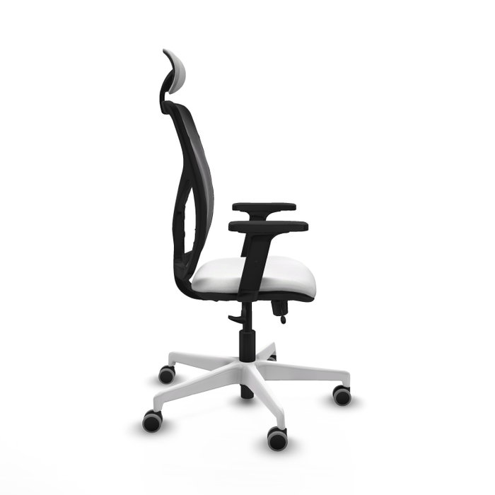 PIQUERAS Y CRESPO Silla de oficina Motilla con mecanismo Sincro/Traslack Blanco y Negro PIQUERAS Y CRESPO Silla de oficina Motilla con mecanismo Sincro/Traslack Blanco y Negro