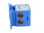 PAWBOL Bloque de Distribución Azul 160A 600V
