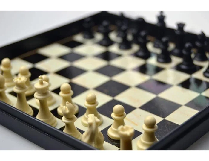 Fournier Juego de ajedrez magnético 20x16,1 cm