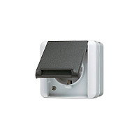 Jung 820 W AP/WD-Steckdose - Interruptor y Toma de Corriente