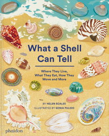 PHAIDON, What a Shell Can Tell
