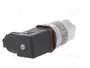 DANFOSS MBS 1700 Transductor de presión 0-16bar 4-20mA