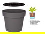 Ibergarden Maceta Plástico Gris con Reserva de Agua 35 cm, 18 l, 34x34x29 cm (Set de 6)