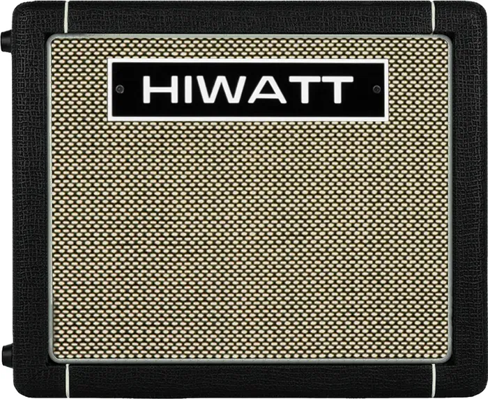 HIWATT GO40 Amplificador Acústico Combo 40W con Batería y Bluetooth para Guitarra y Micrófono con Reverb
