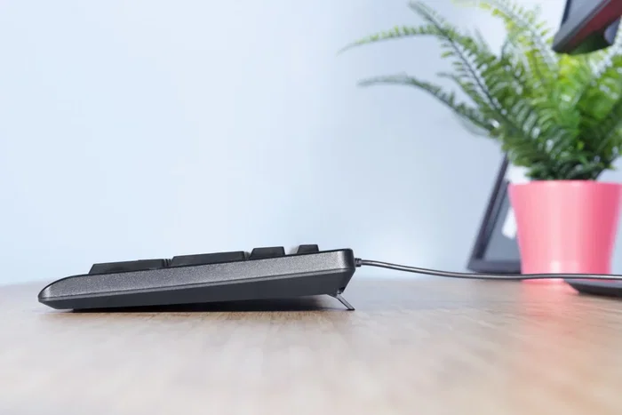 Trust Primo Teclado USB Oficina Completo (100%) con Teclado Numérico en Portugués, Negro, Interruptor de Membrana, Resistente a Derrames