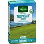 Vilmorin Semillas de Hierbas Tropicales Kikuyu - 500 g