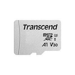 Transcend Tarjeta MicroSDHC 4GB Clase 10 95MB/s 300S