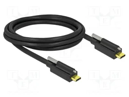 DeLOCK Cable USB Type-C a USB Type-C con Tornillo 10 Gbps 2 m Negro