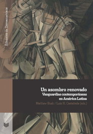 IBEROAMERICANA - VERVUERT, UN ASOMBROSO RENOVADO, Matthew Busch