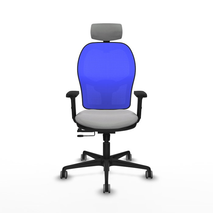 PIQUERAS Y CRESPO Silla de oficina Jorquera con mecanismo Sincro/Traslack, Gris claro y Azul PIQUERAS Y CRESPO Silla de oficina Jorquera con mecanismo Sincro/Traslack, Gris claro y Azul