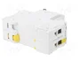 SCHNEIDER ELECTRIC Interruptor magnetotérmico iC60N 2A 2P Característica B