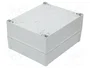 FIBOX TEMPO Carcasa Universal Gris ABS