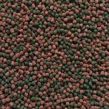 Nayeco Amtra Pro Oranda 250 mL Alimento para peces de colores, Carpin dorado y Koi en acuario