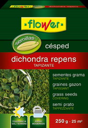 Dichondra Repens Semillas de Césped Grama 250g