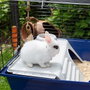 Ferplast Rabbit 120 Jaula