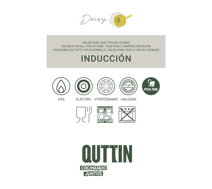 Inde Sartén de 30 cm con Fondo de Aluminio para Inducción, Modelo Daisy Quttin, 780 (6 Unidades)