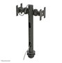 Neomounts FPMA-D050DBLACK - Brazo de Monitor Dual de Sobremesa, Montaje por Agujero, 2 Pantallas 10-30", Hasta 10 kg, VESA 75x75-100x100, Inclinación, Rotación y Giro 360°, Negro