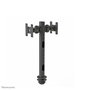 Neomounts FPMA-D050DBLACK - Brazo de Monitor Dual de Sobremesa, Montaje por Agujero, 2 Pantallas 10-30", Hasta 10 kg, VESA 75x75-100x100, Inclinación, Rotación y Giro 360°, Negro