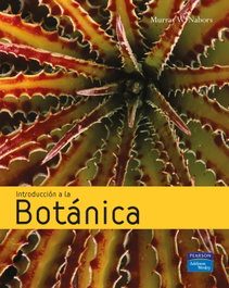 ADDISON WESLEY, INTRODUCCION A BOTANICA, Murray Nabors