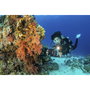Sealife SportDiver SL400-U Carcasa Submarina para Smartphone