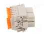 ILME Conector HDC CSAH Hembra 10 Pines