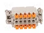 ILME Conector HDC CSAH Hembra 10 Pines
