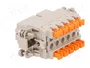 ILME Conector HDC CSAH Hembra 10 Pines