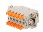 ILME Conector HDC CSAH Hembra 10 Pines