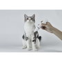 Petkit 2 in 1 Pet Trimmer Pro (PK413) Cortapelos para Mascotas