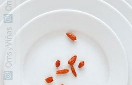 Genesis Plato Llano 32 cm de Vajilla para Mesa, Plato Individual