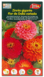 Semillas Fito Zinnia Gigante Flor de Dalla variada