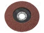 PROLINE Disco de lijado panelado 125mm granulación 40