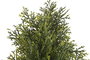 DKD Home Decor Planta Ciprés Topiario Verde 40x40x123 cm