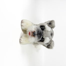 Deqube Peluche Schnauzer Tumbado 25Cm 939D00288