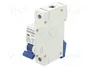 QOLTEC Interruptor magnetotérmico 10A 1 polo